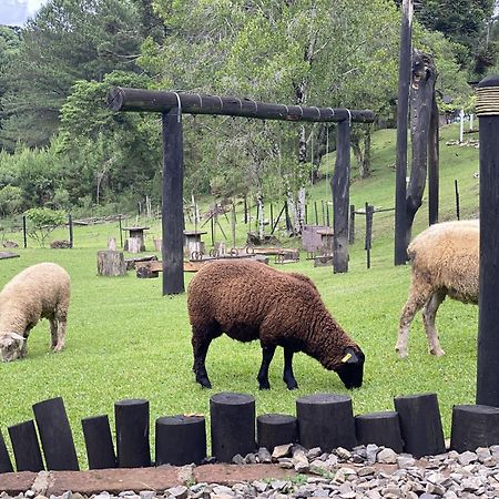 Cabanas Leao Da Tribo De Juda Canela Kültér fotó