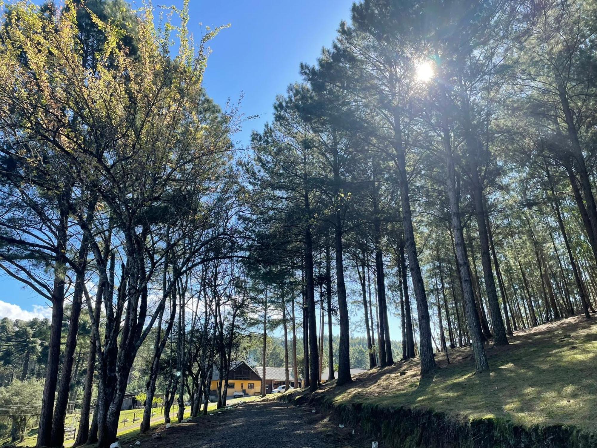 Cabanas Leao Da Tribo De Juda Canela Kültér fotó