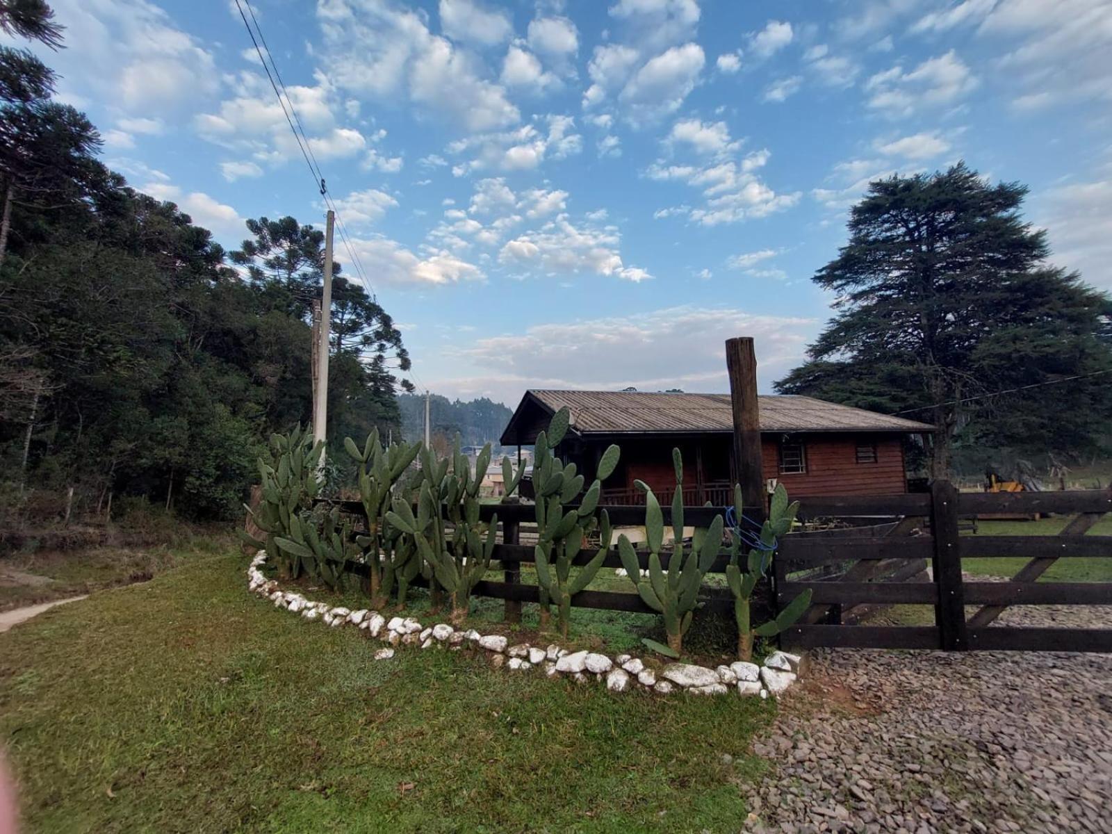 Cabanas Leao Da Tribo De Juda Canela Kültér fotó